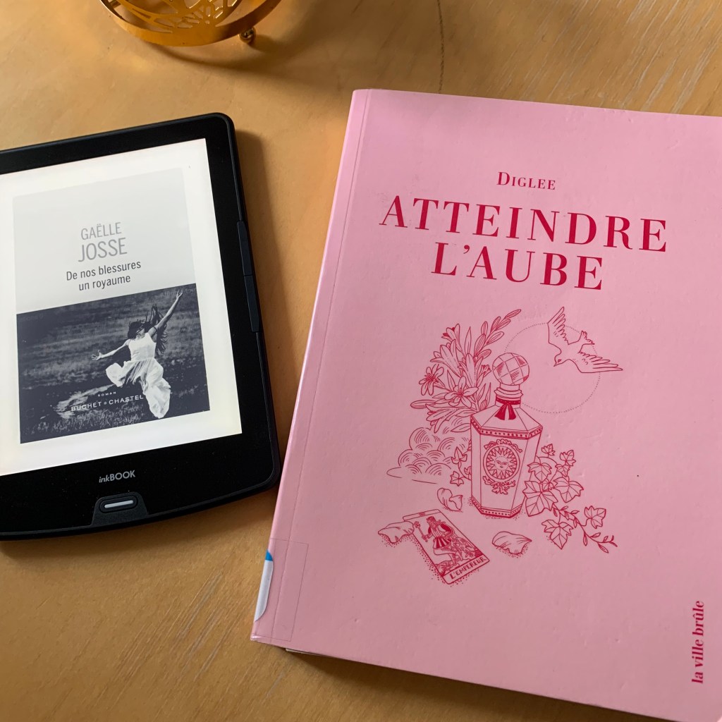 Le week-end dernier, les livres qui m’ont choisie portaient sur les&nbsp;disparus.